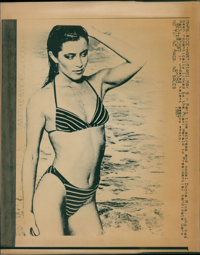 RICE DONNA ACTRESS - RESERVE MIRROR GROUP LIBRARY GARY KREUTEROI, MODEL, TV - Vintage Photograph