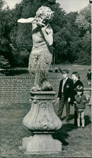 FELDMAN. MARTY. T. V. SCRIPTWRITER - Vintage Photograph