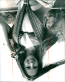 CROMARTY ANDEE ACTRESS - DIVISIONAL, FILM, LONDON - Vintage Photograph