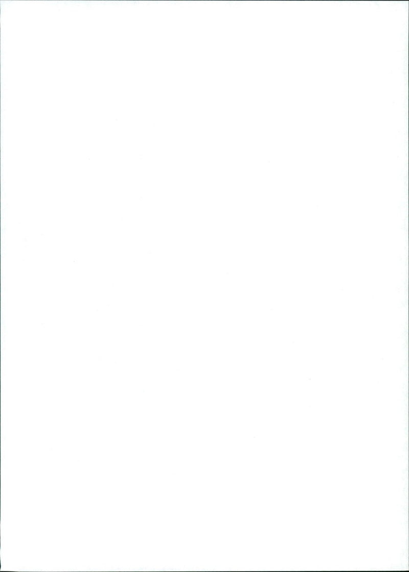 1996 - MINNELLI LIZA ACTRESS MICHAEL LISA JFK MARIE, PRINCE, MOVIE, FILM - Vintage Photograph