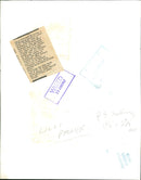 1967 - PALMER LILLI ACTRESS OUT 17X2, FILM, WIFE - Vintage Photograph