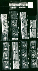 ESKDALENIVIR - PAN, FILM, X - Vintage Photograph