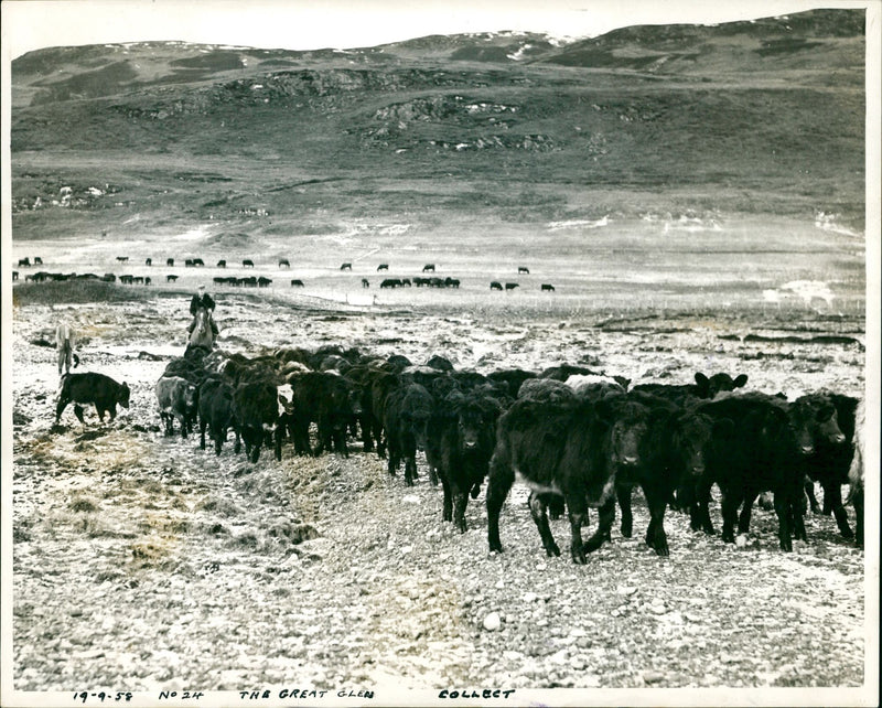 1948 - GREAT GLEN JOSEPH WILLIAM HOBBS JOE, BRITISH, JOHN, FILM - Vintage Photograph