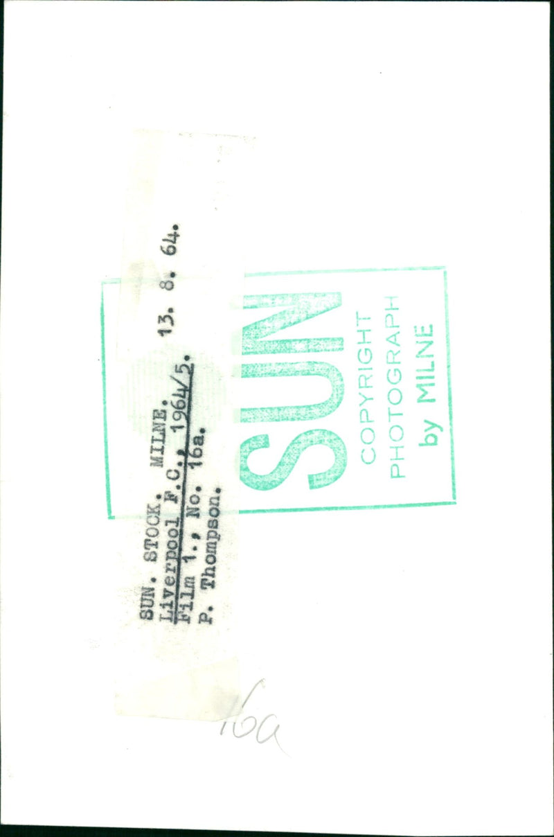 THOMPSON PET FOOTBALLER FERPOOL FIT WANDELEE BOZTON - MILNE SUN STOCK, LA, FILM - Vintage Photograph