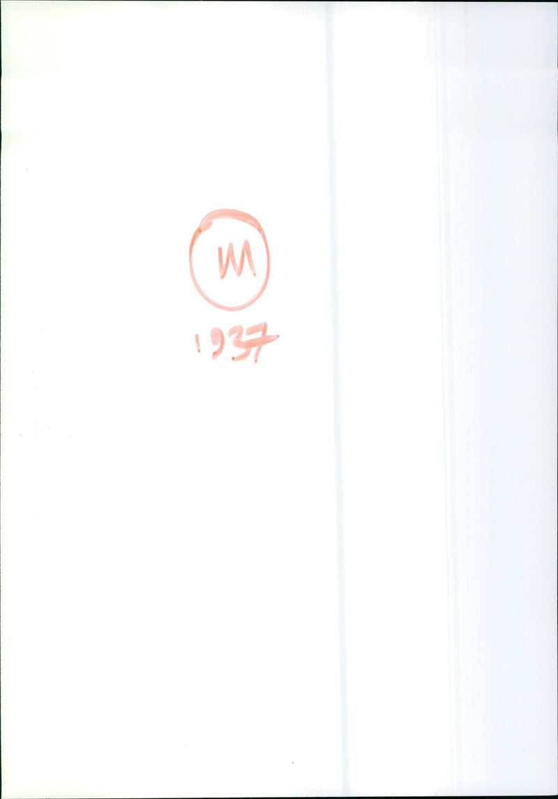 LOY MYRNA FILMS -, CAT, LADY, MISS - Vintage Photograph