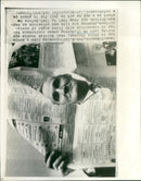 1941 - CHAPMAN EDWARD X CHOOK AND OVER, MOVIE, BRITISH, II - Vintage Photograph