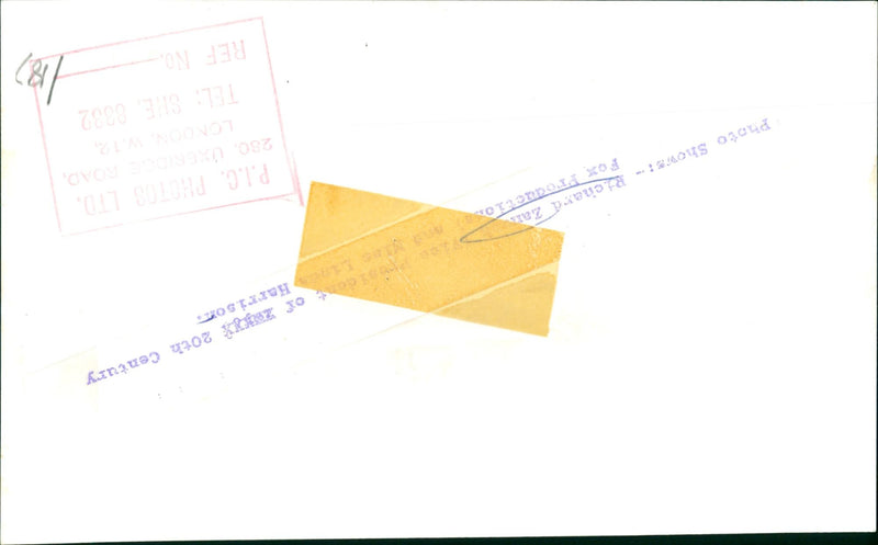 ZANUCK FOX FILMS RICHARD D - HARRISON CENTURY ZANA, PHOTO - Vintage Photograph