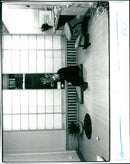 DONAHUE WALTER FILMS - LONDON - Vintage Photograph