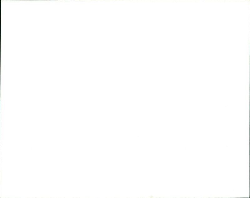 MITCHUM ROBERT FILMS - Vintage Photograph