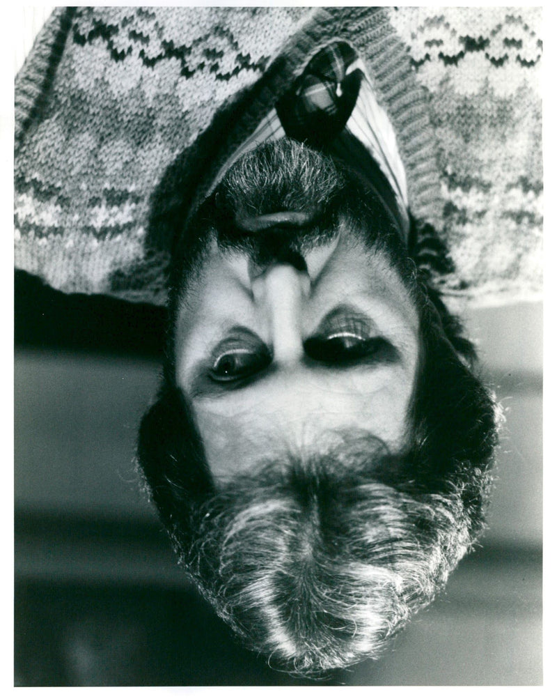 PUTTNAM DAVID FILM PROD - AMVISION LVNT SAYESU NOILES MELVYN, BRITISH, LONDON - Vintage Photograph