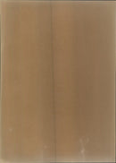 VIETNAM WAR PEACE CONF - MME NGUYEN DUY TRINH, PARIS, FIRST - Vintage Photograph