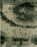 1911 - NEW FILM PIGEONS PUBLICIZE, LONDON - Vintage Photograph