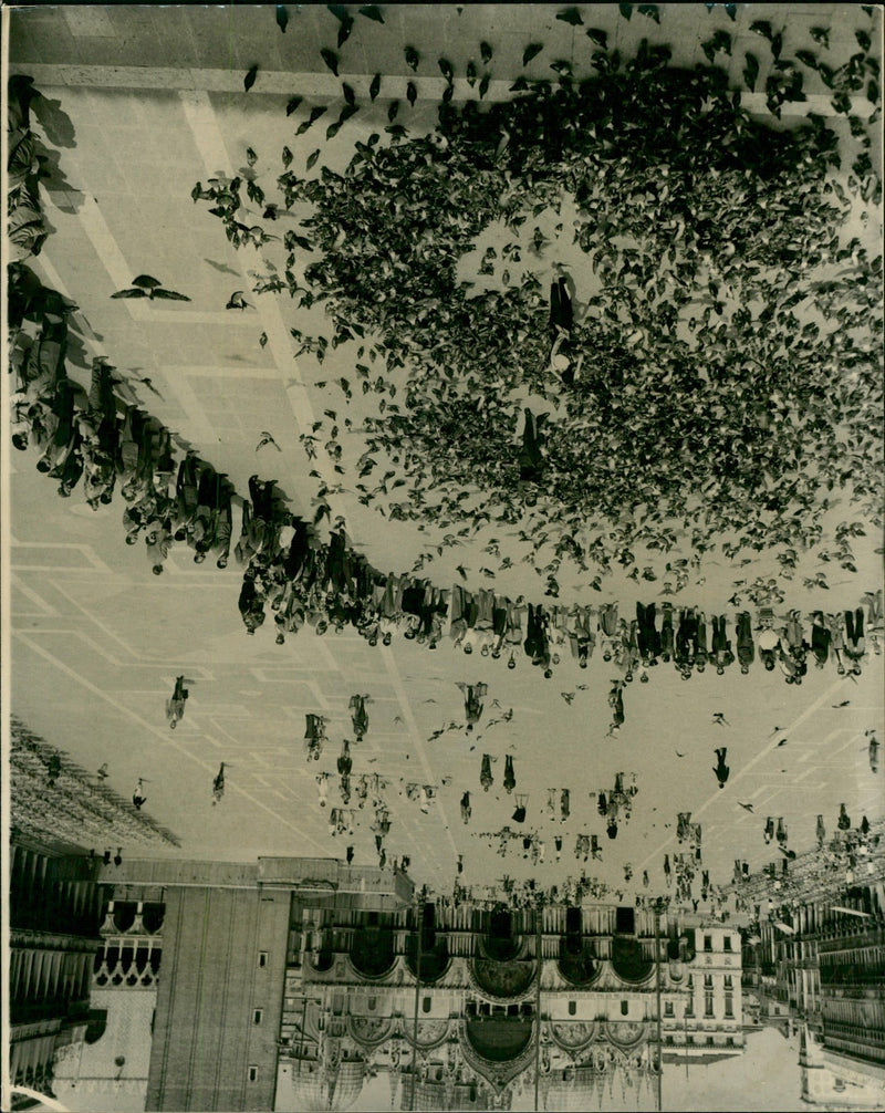 1911 - NEW FILM PIGEONS PUBLICIZE, LONDON - Vintage Photograph