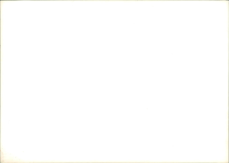 1974 - BEAUTY CAMPS VALLE EUNICE, LONDON, MODEL, ACTRESS - Vintage Photograph