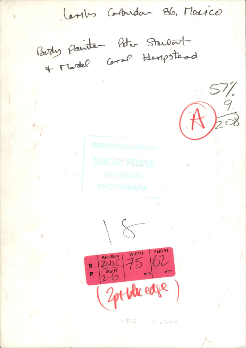 MONICO BERDY LARIHS CALONDAN MM, PETER, MODEL - Vintage Photograph