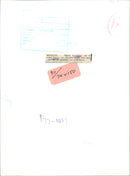 DEVONSHIRE FELICITY MODEL - THOMAS SON BOUNCING - Vintage Photograph