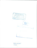 GRIFFITHS ARFON FOOTBALL CREWE ALEX HEXVERTER MANAGER - EMMANUEL FOTO - Vintage Photograph