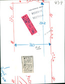 MODEL VENUS NUL LOOB - BY IAN SPRATT, WHITE - Vintage Photograph