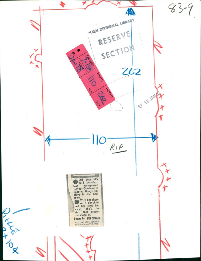 MODEL VENUS NUL LOOB - BY IAN SPRATT, WHITE - Vintage Photograph