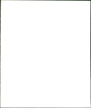 HOLTHAM NEVILLE PEOPLE WRITER - Vintage Photograph