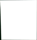 HOLTHAM NEVILLE PEOPLE WRITER - Vintage Photograph