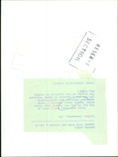 1986 - JAMES JANINE BEAUTY AUGUST MAGIC ANIMAL, LONDON, MODEL - Vintage Photograph