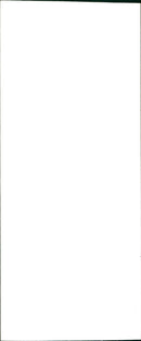 REB LONDON SUMMER SONNE SUSAN LEVITT PEOPLE - FILM - Vintage Photograph