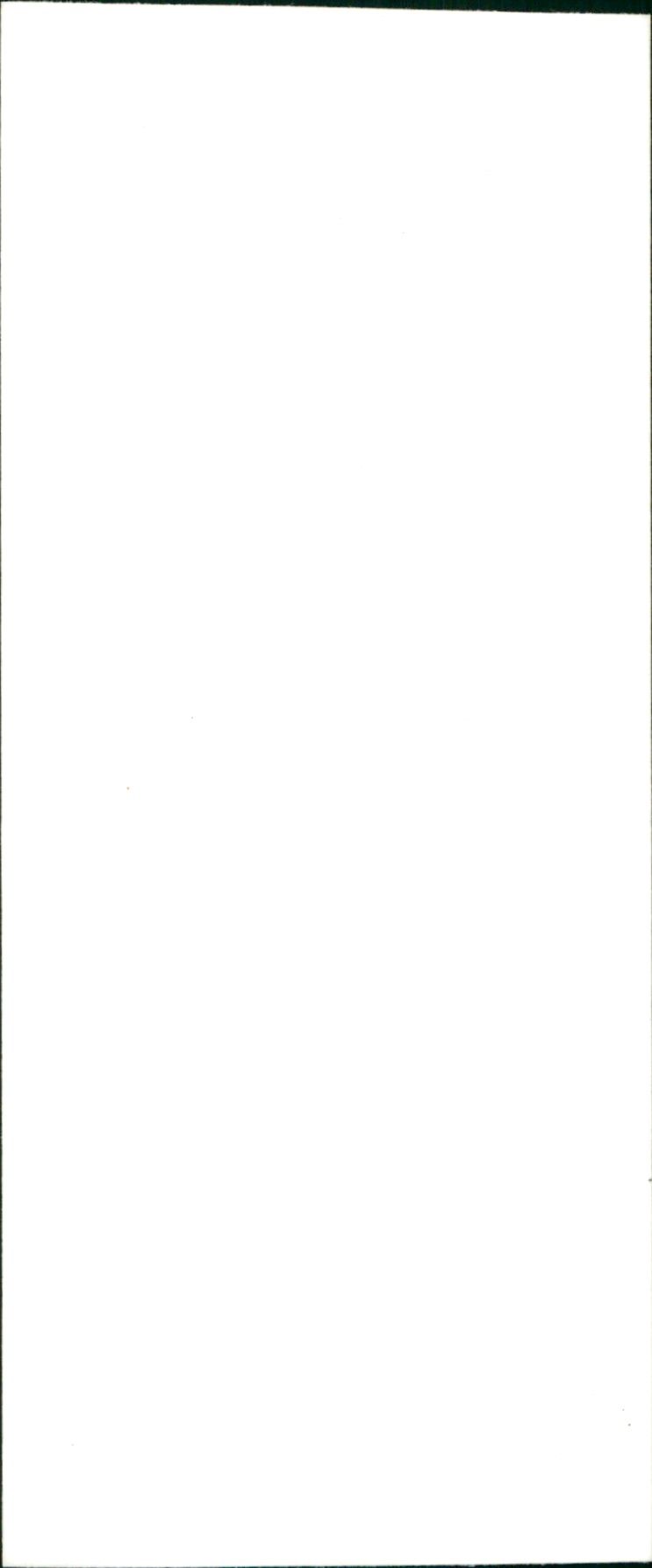 REB LONDON SUMMER SONNE SUSAN LEVITT PEOPLE - FILM - Vintage Photograph