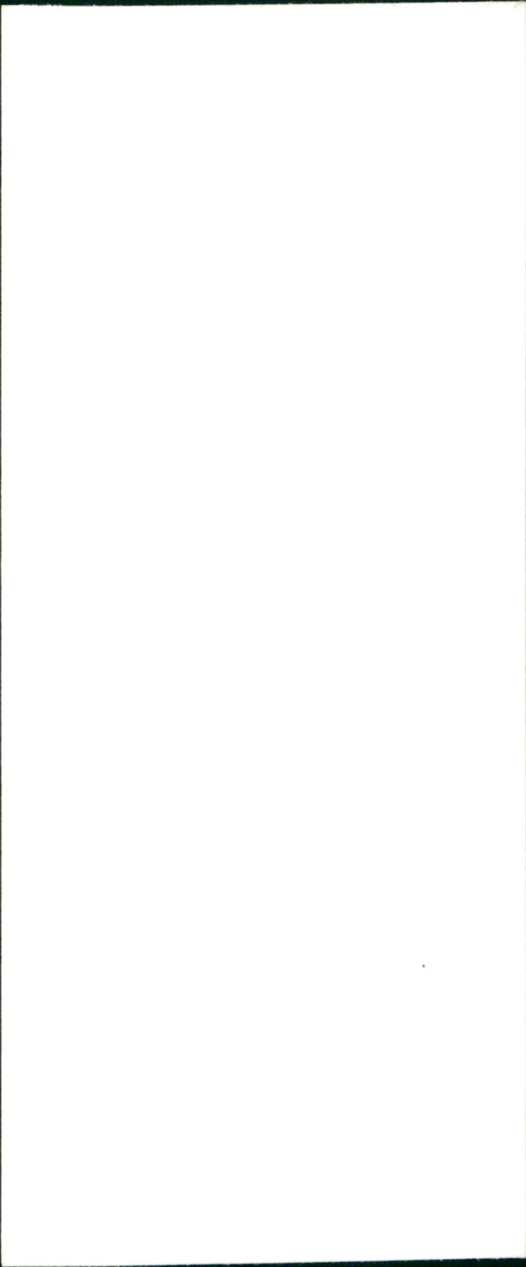 REB LONDON SUMMER SONNE SUSAN LEVITT PEOPLE - FILM - Vintage Photograph