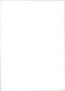 H. CHARLES M. S. BARRETT MR BOUNTY, FILM - Vintage Photograph