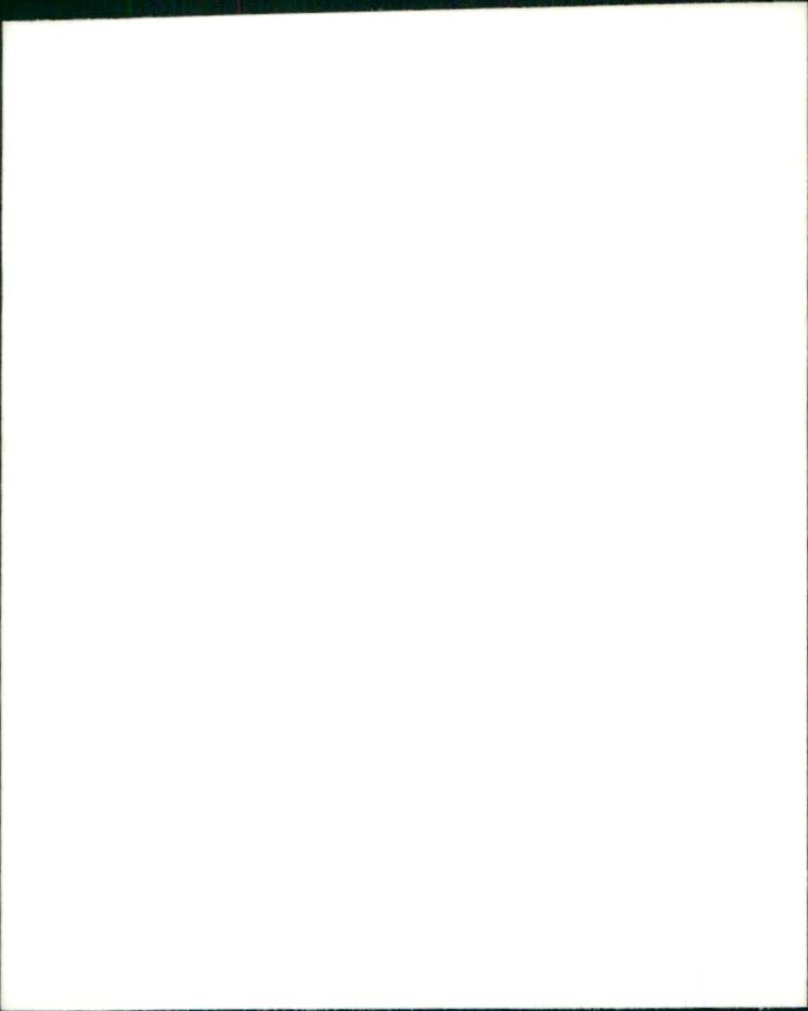 REB LONDON SUMMER SONNE SUSAN LEVITT PEOPLE - FILM - Vintage Photograph