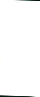 REB LONDON SUMMER SONNE SUSAN LEVITT PEOPLE - S063, FILM - Vintage Photograph