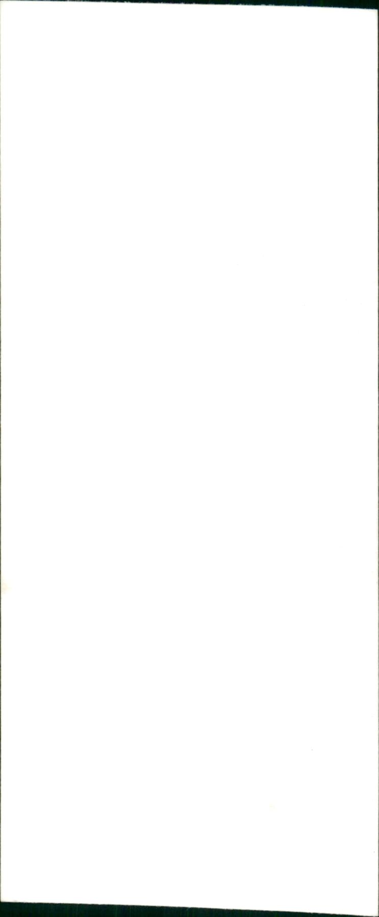 REB LONDON SUMMER SONNE SUSAN LEVITT PEOPLE - S063, FILM - Vintage Photograph