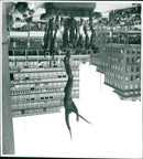 SWEDEN TOWNS STOCKHOLM - OUTSIDE BRONZE STATUARY, CONCERT - Vintage Photograph