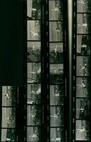 WILLIAMS JOYCE HONNIS - STATT BRO HERLEGLANE LOHN, LONDON, FILM - Vintage Photograph