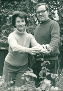 1976 - REES MERLYN LAB M P TENDING SEPTEMBER ROSES THE ROY JENKINS, LONDON - Vintage Photograph
