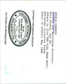 1986 - GEREKOU ANGELA GREEK ACTIES AND ACTRESS, LONDON, FILM - Vintage Photograph