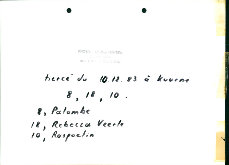 1983 MARTINE ALE KOURNE HANSEN REPOETIN TIERCE VEERKE REBECCA PALOMBE - Vintage Photograph