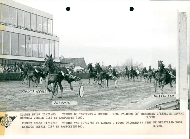 1983 MARTINE ALE KOURNE HANSEN REPOETIN TIERCE VEERKE REBECCA PALOMBE - Vintage Photograph