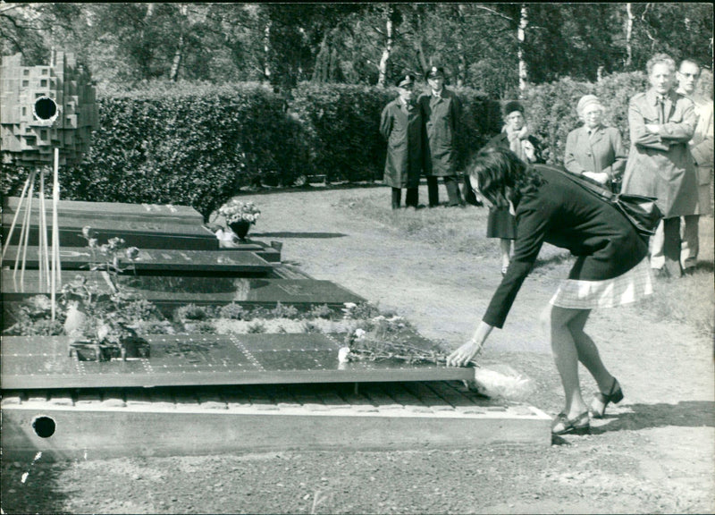 1972 ANVERS PARK VAN SEE ETE SCHOONSELBEGRAAFPLAATS TUESDAYA ROYAL CONCERT - Vintage Photograph