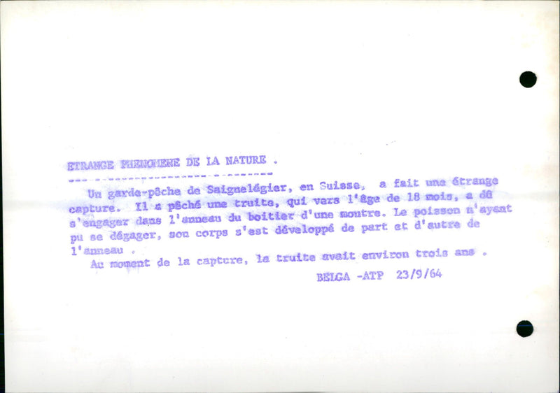 Strange phenomena of nature - Vintage Photograph