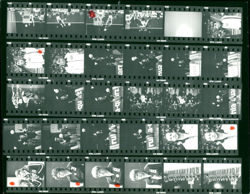 1985 NETHERLANDS LANSCHAFT VESMA AISTERE ENA VOLKOVA CHEBUKINA PET FILM PETER - Vintage Photograph