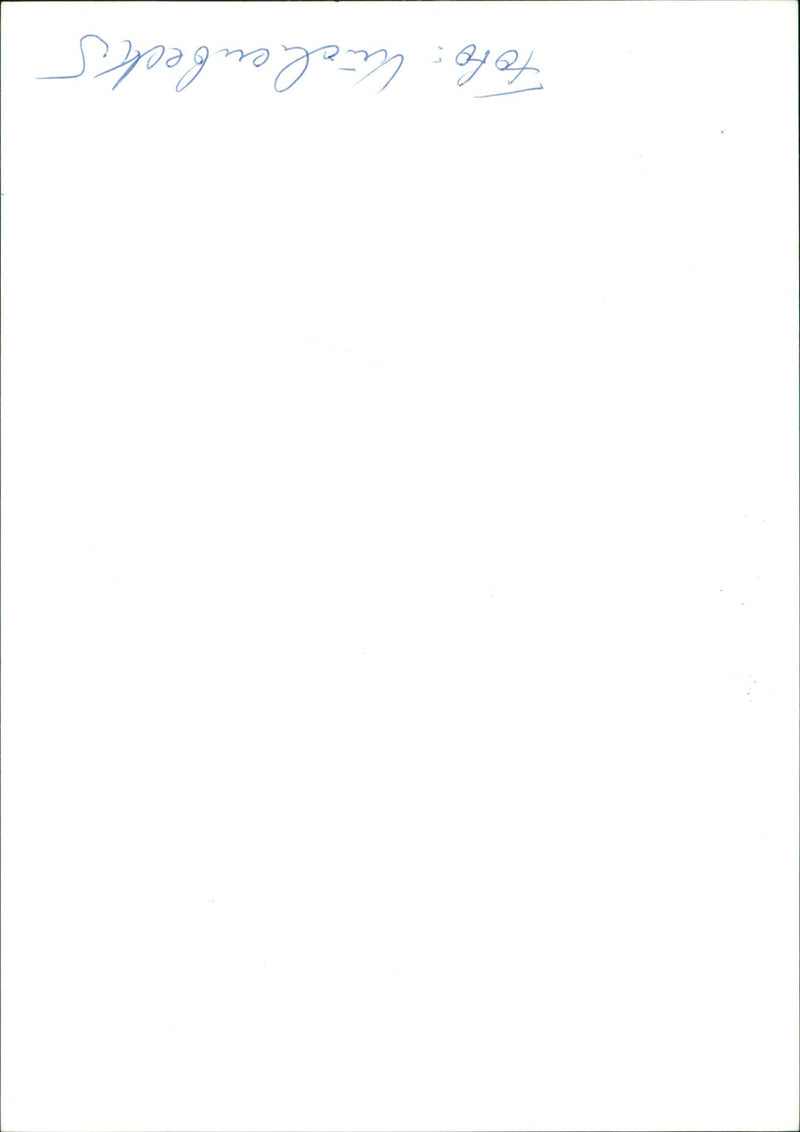 HIEEN PULGE GROUP DUTCH MUSICIANS - Vintage Photograph