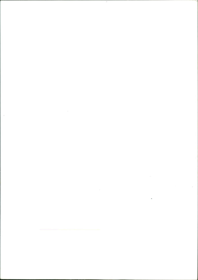 HIEEN PULGE GROUP DUTCH MUSICIANS - Vintage Photograph