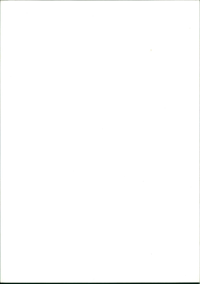 HIEEN PULGE GROUP DUTCH MUSICIANS - Vintage Photograph