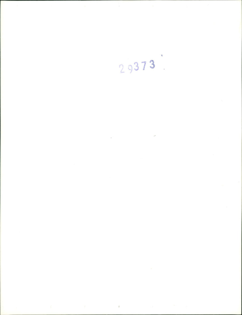 NUESUN SAUER BUDAPEST BUJOUT NUESUNSAUER NUESUNSAUERCOMBUDAP - Vintage Photograph