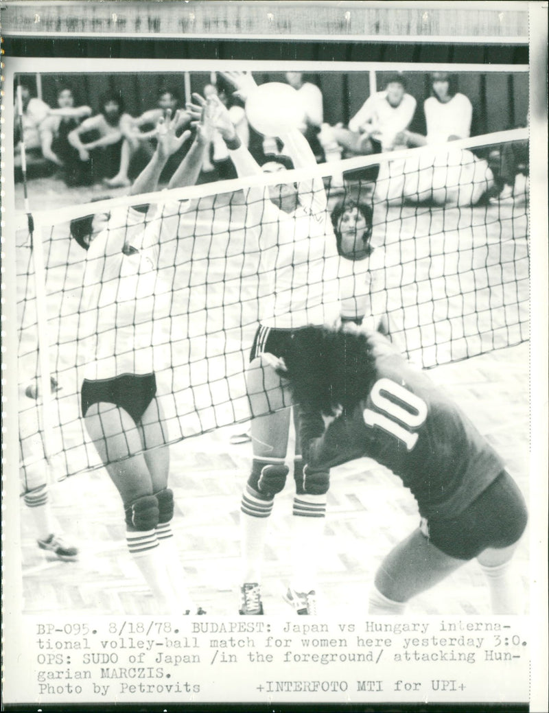 NUESUN SAUER BUDAPEST BUJOUT NUESUNSAUER NUESUNSAUERCOMBUDAP - Vintage Photograph