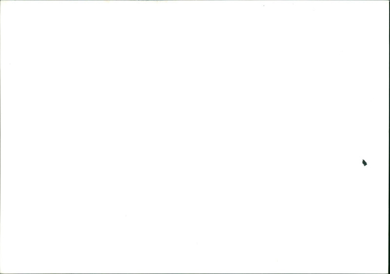 HIEEN PULGE GROUP DUTCH MUSICIANS - Vintage Photograph