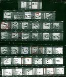 1983 OPEN SHOTOKAN KARATE SEBWERIN VOLLEYBALL WOMEN POLO BOBO FILM NUMBER - Vintage Photograph