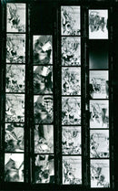 PEACEKEEPING XILL FRECTEUSFAHRT KLAR FILM KUHMSTEDT ERICH - Vintage Photograph